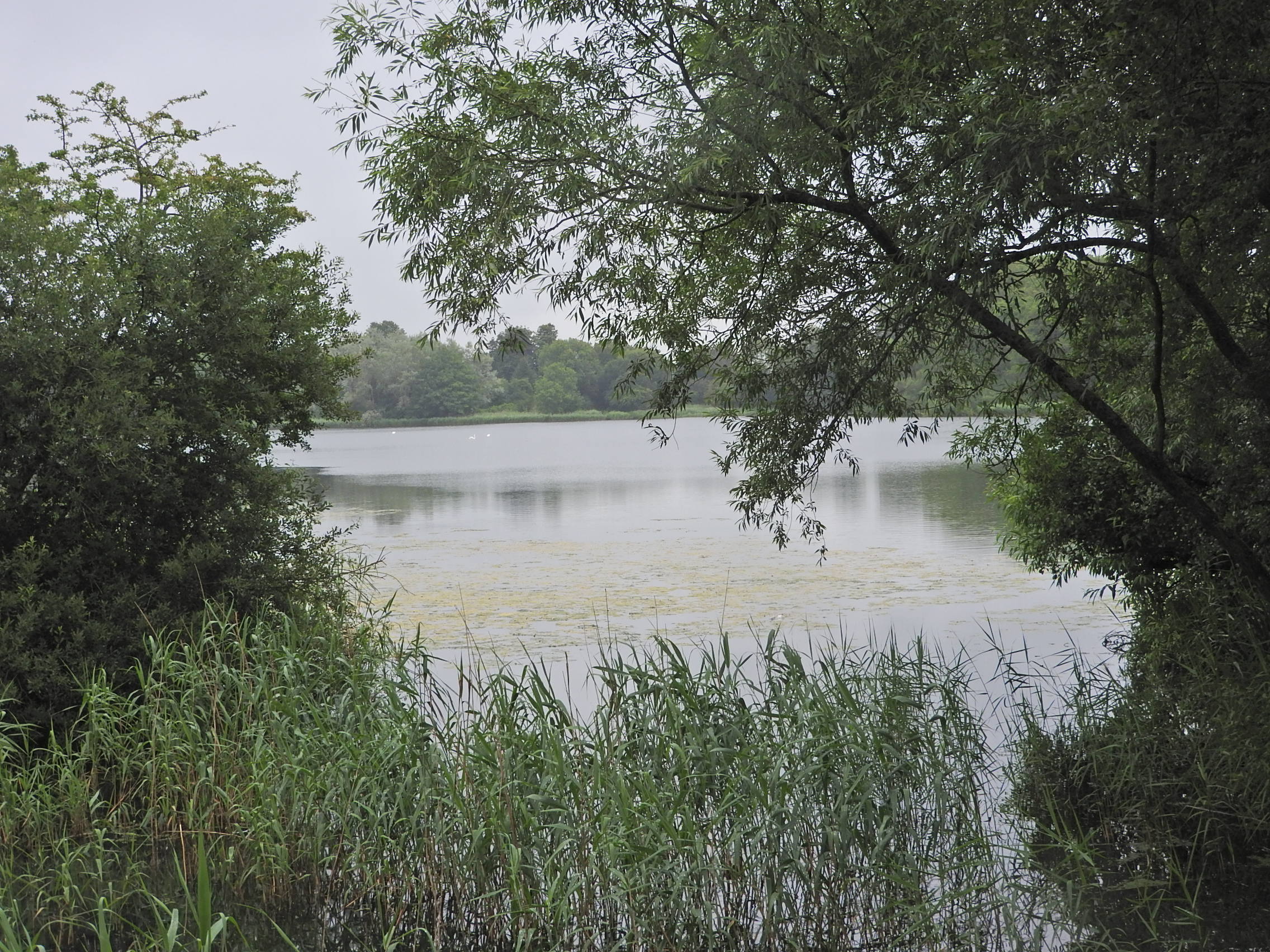 Coate to Chiseldon - North Wessex Downs National Landscape