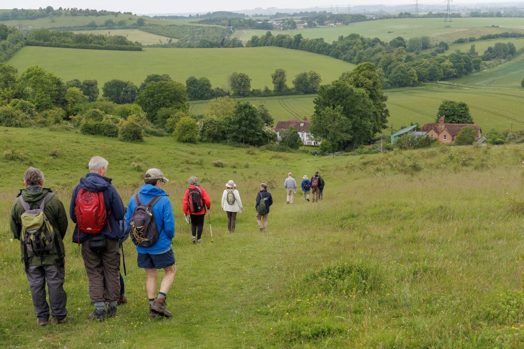 Our fourth North Wessex Downs Walking Festival comes to a close - North ...